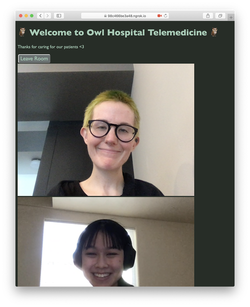 Captura de tela de um aplicativo de telemedicina. O texto diz 'Bem-vindo ao Owl Hospital Telemedicine' e há 2 pessoas sorridentes e reais conversando por vídeo.