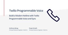 Modern Hotline Voice Hero