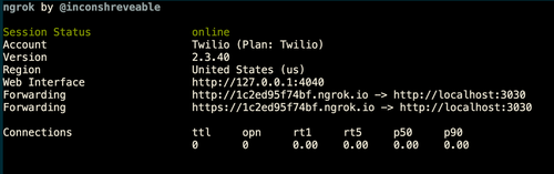 Picture of ngrok running