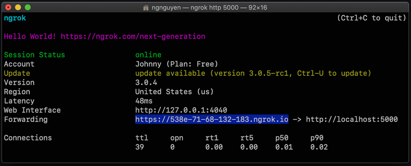 Running ngrok in the command prompt, a list of session statuses is displayed, including a forwarding URL.