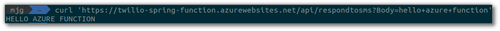 Screenshot des Curl-Befehls gegen die öffentliche Azure-URL.