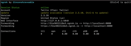 image showing the output of running the "ngrok http 8080" command with forwarding URLS