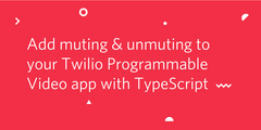mutingtypescript.png