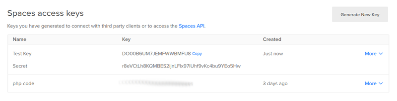 A newly created Spaces access key